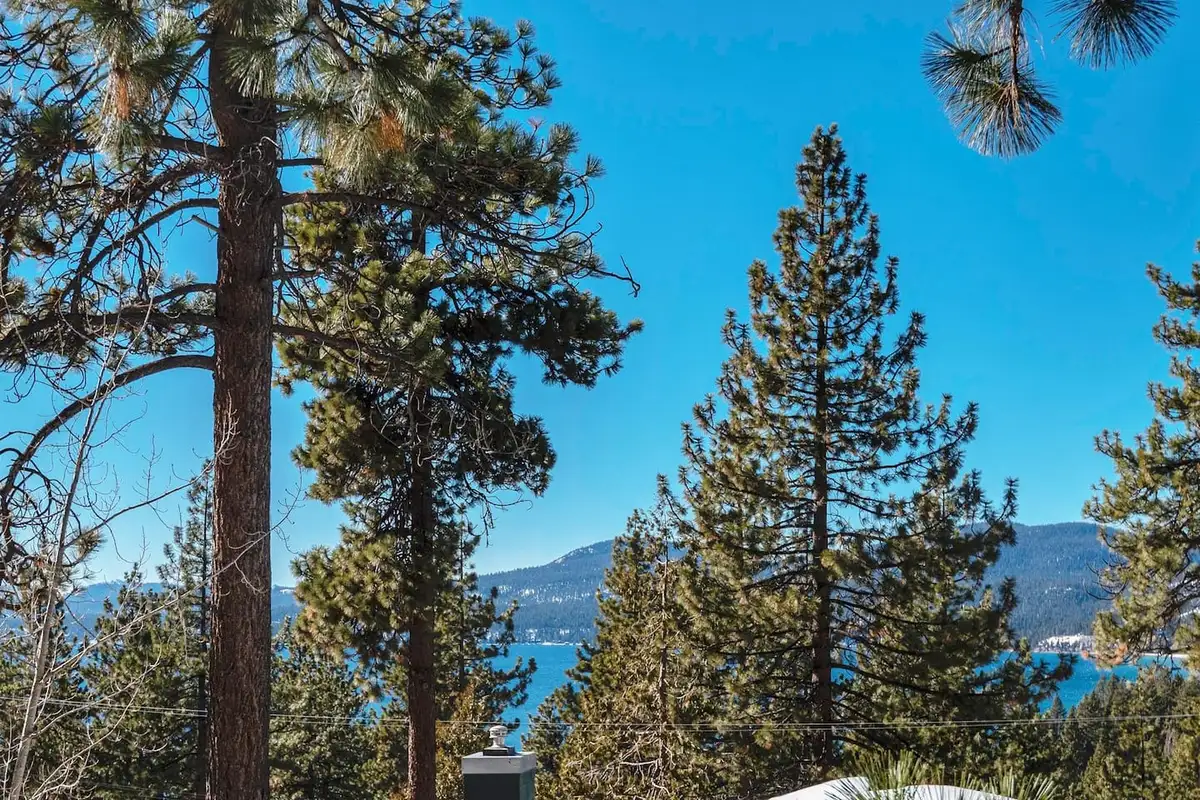 Lake view framed by tall pine trees, Lakeview Serenity Cottage