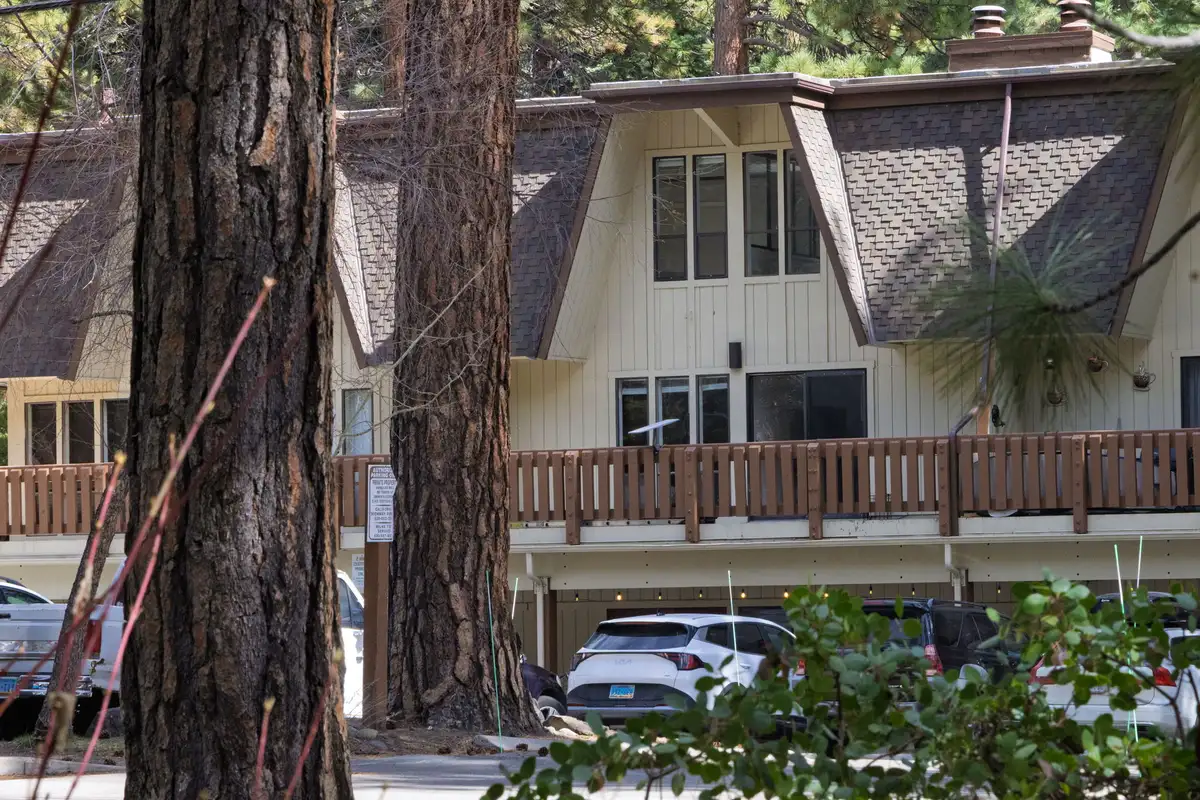 Charming A-frame exterior nestled among towering pine trees, Treetop on Country Club