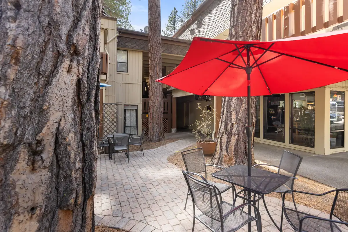 Shared courtyard patio with seating and umbrellas beneath the pines, Treetop on Country Club