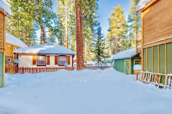 Snowy backyard with a small shed and wood fence, Trout and About