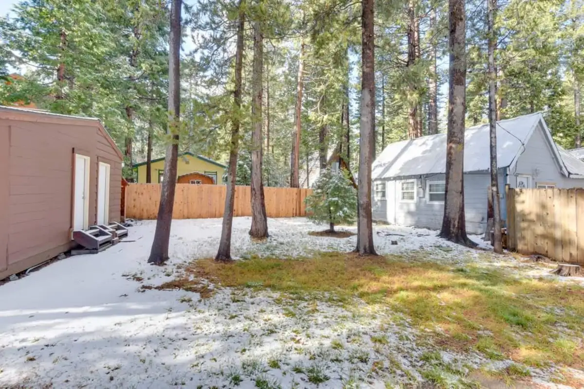 Snow-dusted backyard with sheds and tall pines, Tranquil Trails Cabin