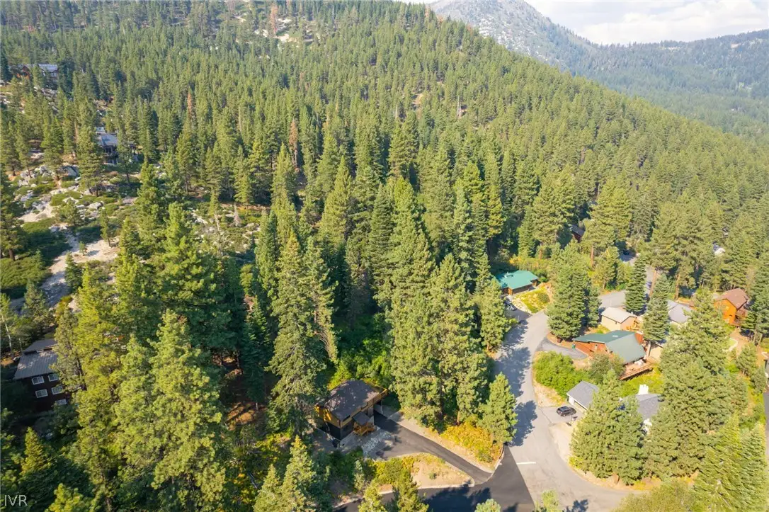 Aerial view of forested neighborhood and mountains, Sugar Pine Tahoe Lodge