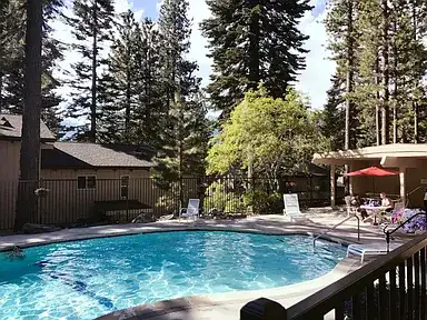 Outdoor pool surrounded by pines, Skiway Suite