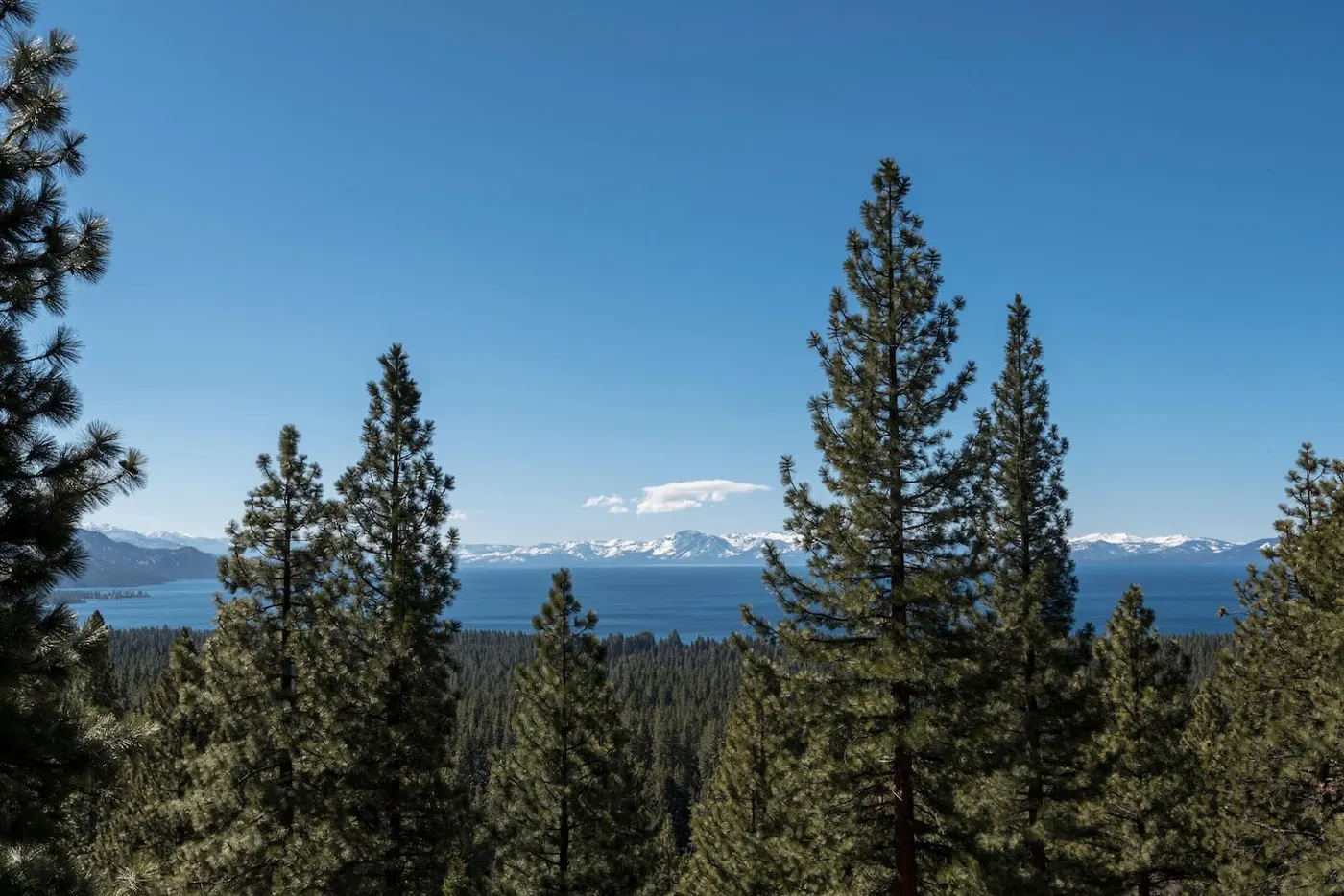 Lake Tahoe and the Sierra through the pines from Skylake Serenity Retreat, an MG home in Incline Village