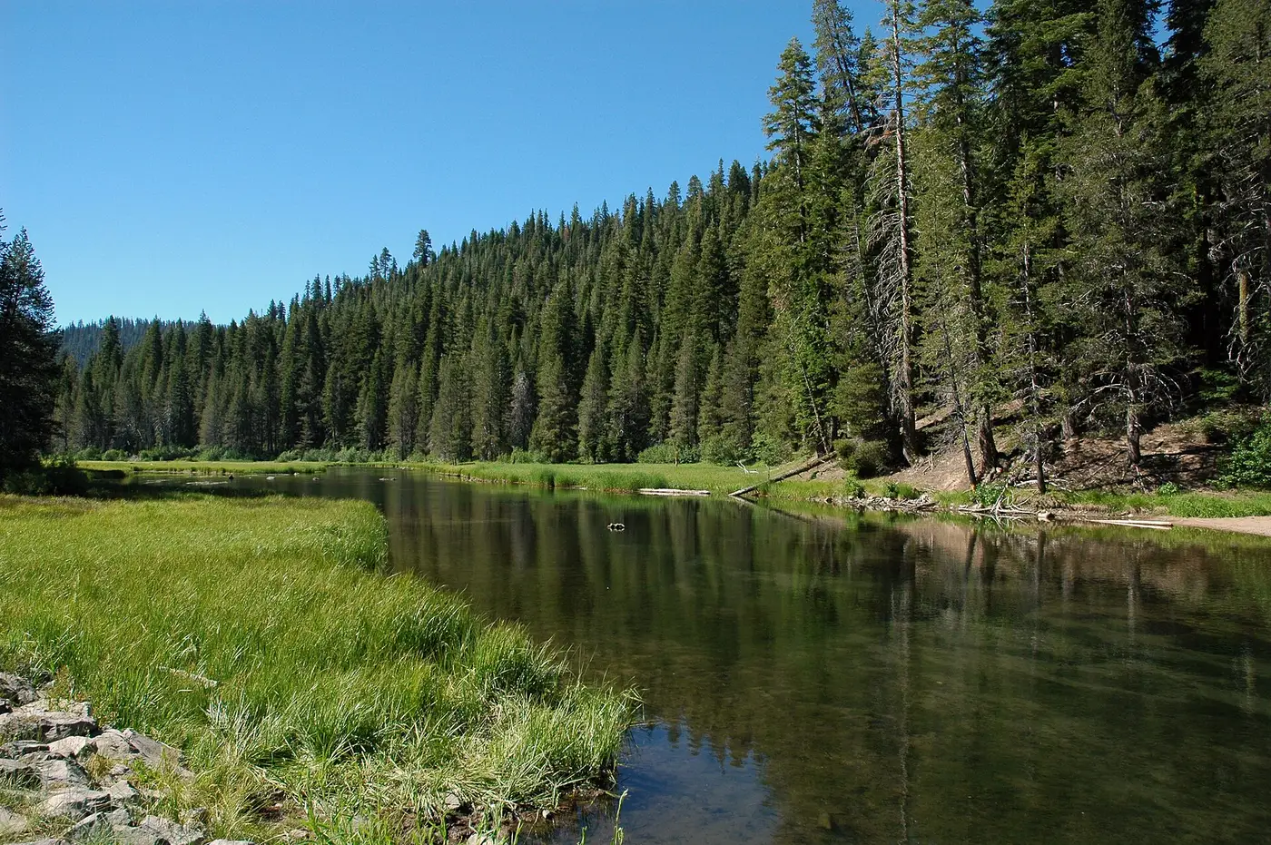 The Truckee River near Tahoe City